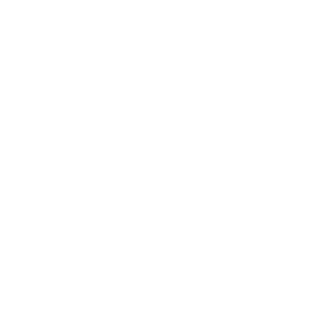 Dubshow